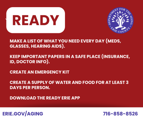 Make a list of what you need everyday, keep important info in a safe place, create emergency kit, download ready erie