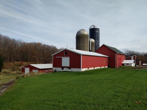 barn and silos in field