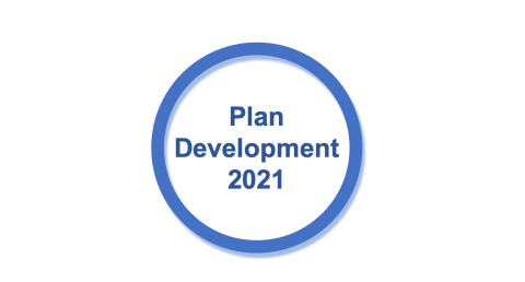 Plan development