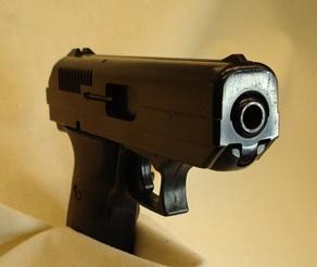 Hi-Point pistol
