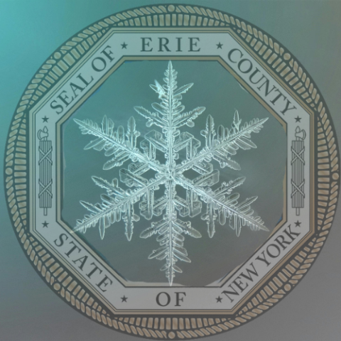 County seal with snow flake