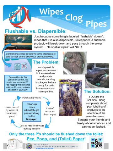 Wipes Clogs Pipes Flyer
