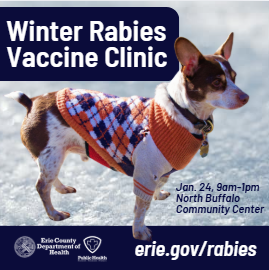 Flyer for event contains ECDOH logo, clinic location and time details, and an image of a chihuahua-terrier mix in a black, white and orange argyle sweater
