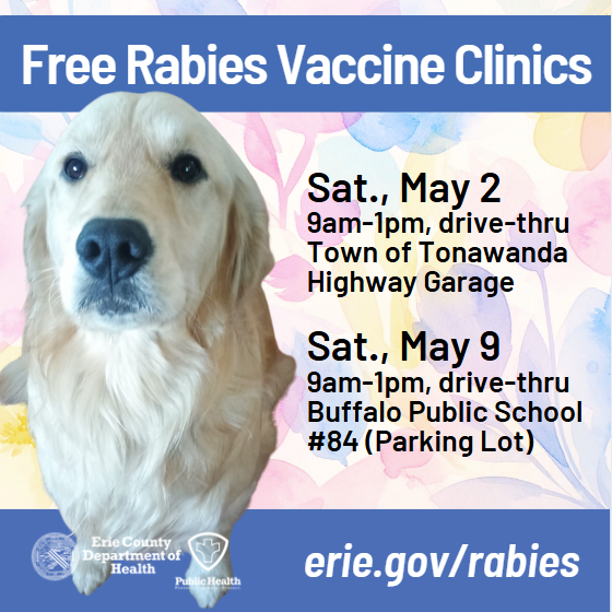 Event flyer featuring ECDOH logo, a photograph of a golden retriever, and clinic dates and locations