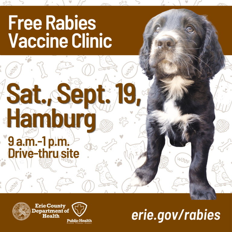 Flyer with event details and a phograph of a cocker spaniel mix puppy.