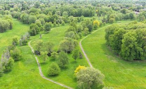 Willowdale Park