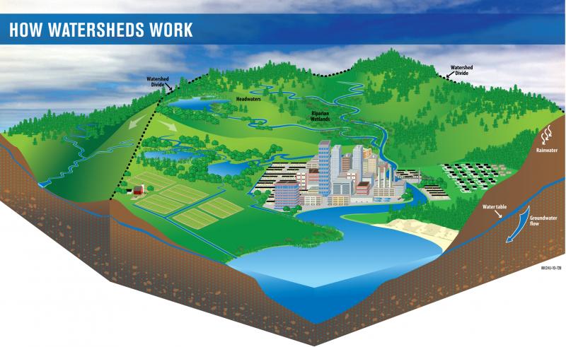 how watersheds work