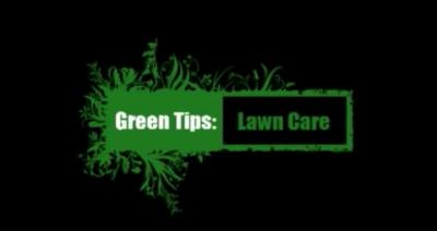 green tips