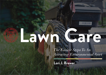 lawn care