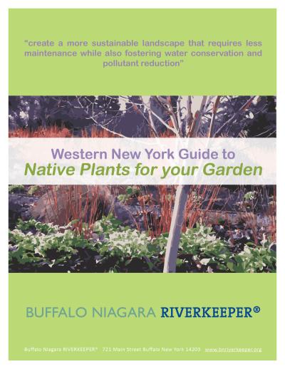 guide to native plants