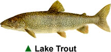 trout_lake