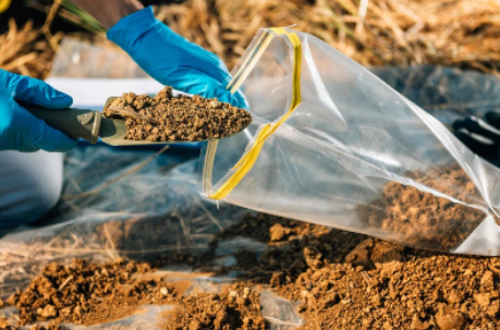 Soil being placed into a bag for soil testing