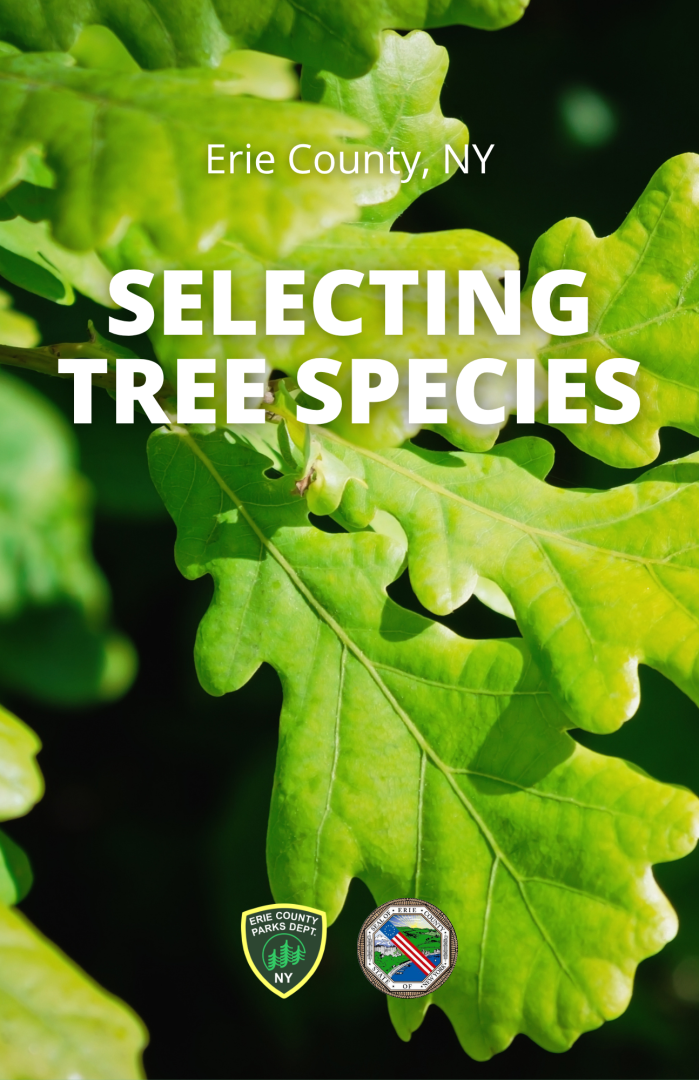Front page of Selecting Tree Species booklet.