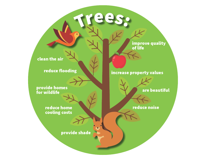 The Benefits of Trees fan