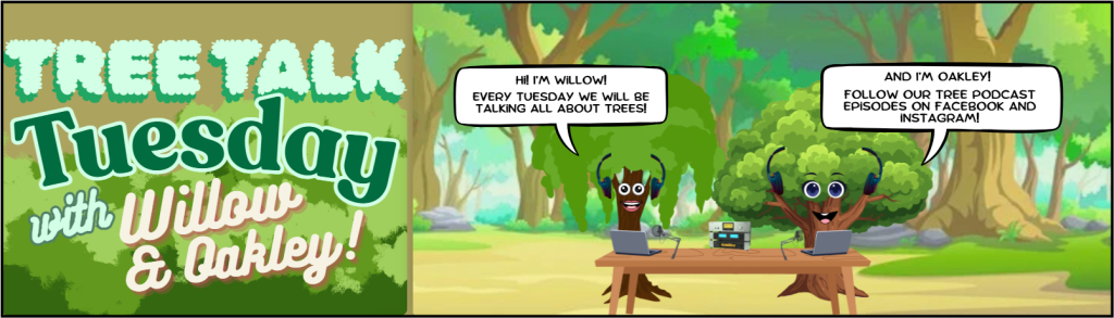  Two trees as podcasters introducing Tree Talk Tuesday, a social media campaign about the importance of trees.