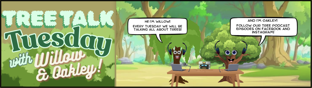 Tree Talk Tuesday podcast with Willow and Oakley introducing themselves