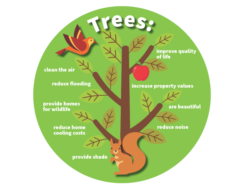 The benefits of trees fan