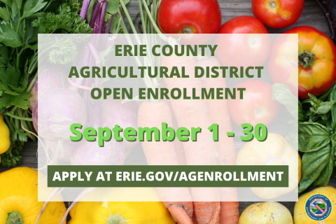 AgDistrictOpenEnrollmentGraphic