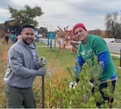 Two men planting a seedling tree