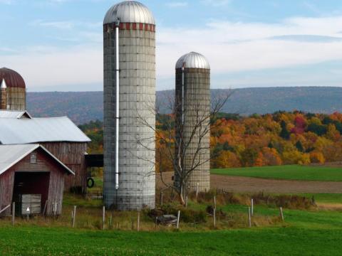 farm
