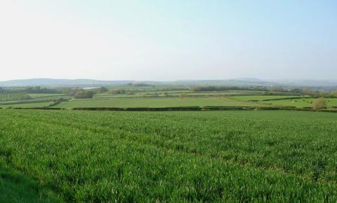 farmland