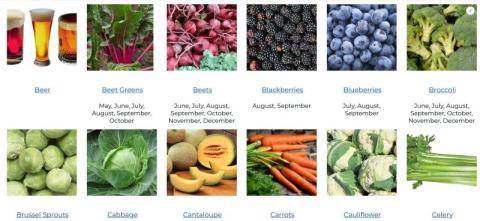 produce