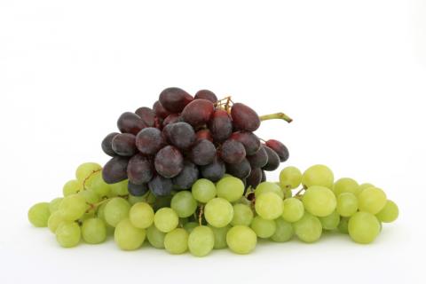 grapes