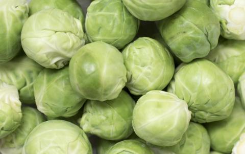 brussel sprouts