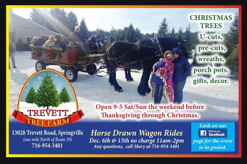 trevett info card for 2025