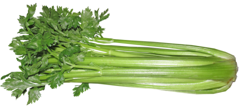 celery