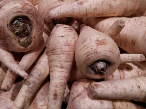 parsnips