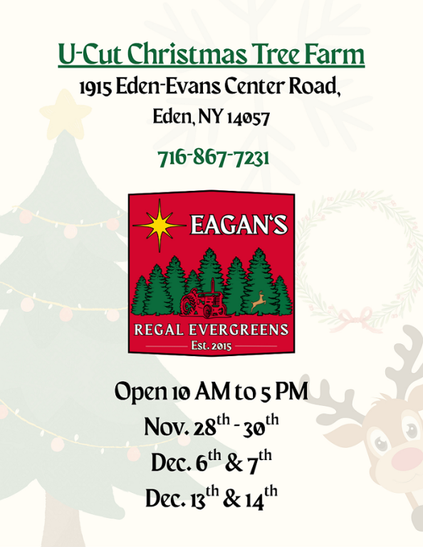 graphic showing Eagan's 2025 season details