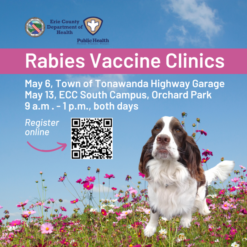 May Rabies Vaccine Clinics 