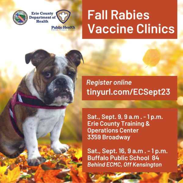 English bulldog in shoulder harness sitting on a ground covered with fall leaves. Text: fall rabies vaccine clinics, register online at tinyurl.com/ECSept23