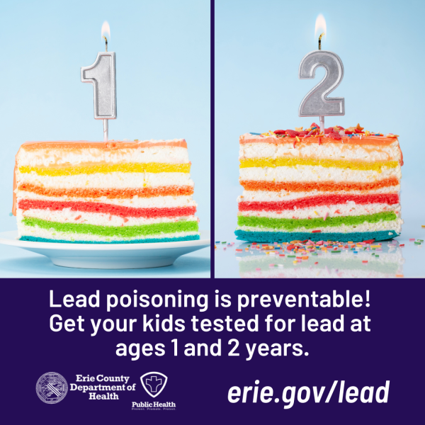 Two pieces of birthday cake with colorful layers, with candles with the number 1 and number 2 along with a message that says lead poisoning is preventable, get your kids tested for lead at ages 1 and 2 years.