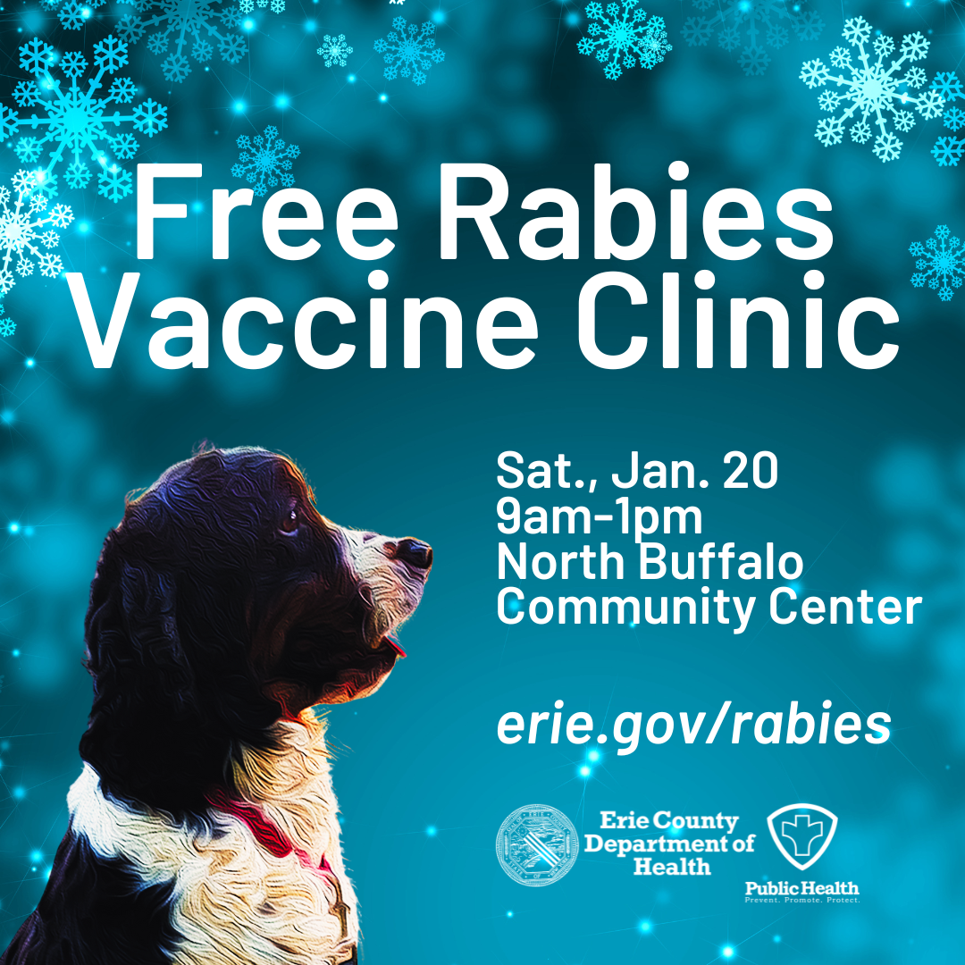 Free Rabies Vaccine Clinic on Saturday, January 20 from 9 am to 1 pm at North Buffalo Community Center; Side profile of springer spaniel on blue snowflake background