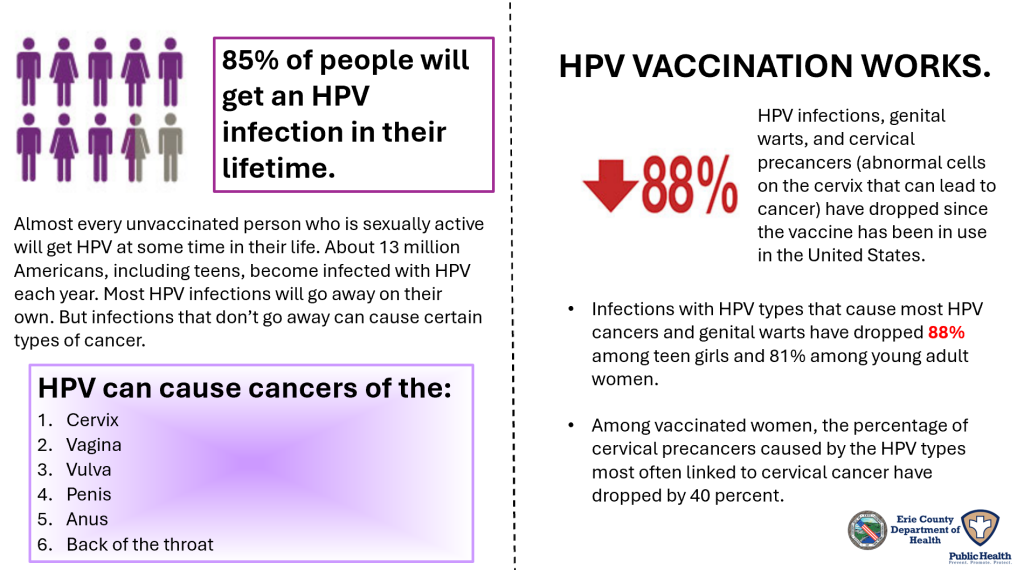 HPV vaccination works graphic