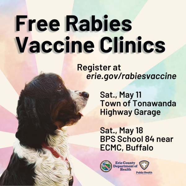 Free Rabies Vaccine Clinics on May 11 and May 18; Side profile of English Springer Spaniel dog on a colorful background