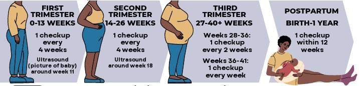 timeline with four panels showing pregnancy progression from first trimester, 0-13 weeks, to second trimester, 14-26 weeks, to third trimester, 27-40+ weeks, through postpartum, birth to one year.
