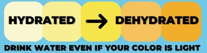 Diagram showing range of colors of urine from very light yellow (hydrated) to very deep yellow, almost orange (dehydrated). Text says "drink water even if your color is light."