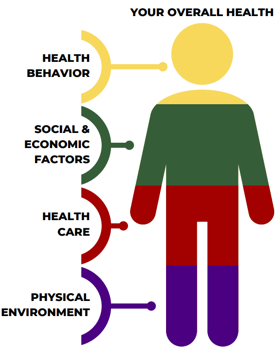 Infographic of a person/figure outline divided horizontally into 4 color-coded sections corresponding to Health Behavior (head and shoulders in yellow), social & economic factors (torso and arms in green), health care (hips, thighs and hands in red), and physical environment (lower legs in purple).
