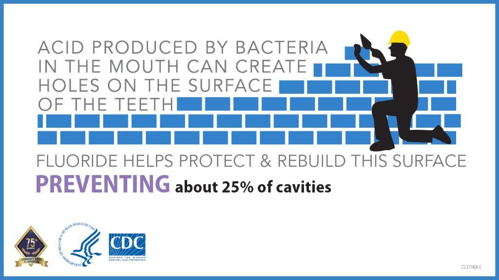 message explaining that acid from bacteria can make small holes in teeth. It says fluoride helps protect teeth and rebuild the surface, preventing about 25% of cavities. There is a blue brick wall graphic and a black silhouette of a person in a hard hat placing bricks, showing how fluoride helps rebuild teeth. Logos for CDC and other organizations appear at the bottom.