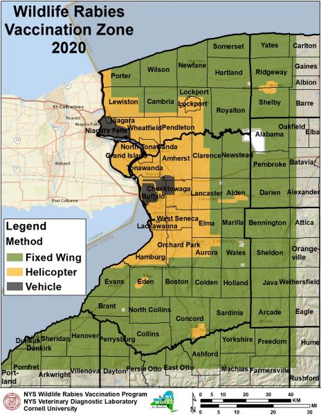 Map of WNY counties showing rabies vaccination zon for 2020