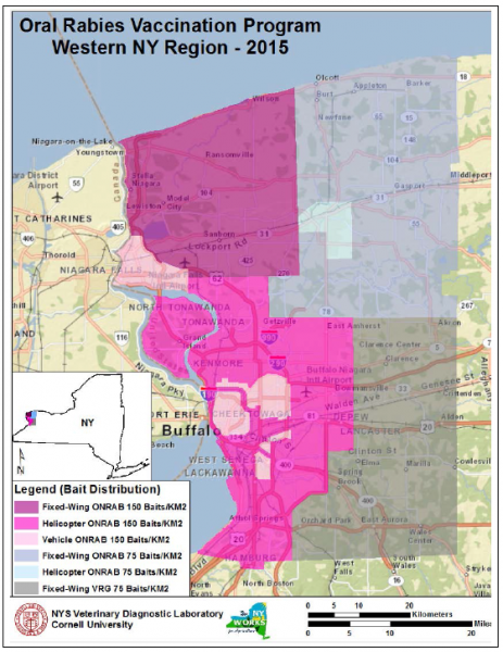Map of Rabies Vaccine Distribution