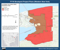 Map of Rabies Vaccine Bait distribution