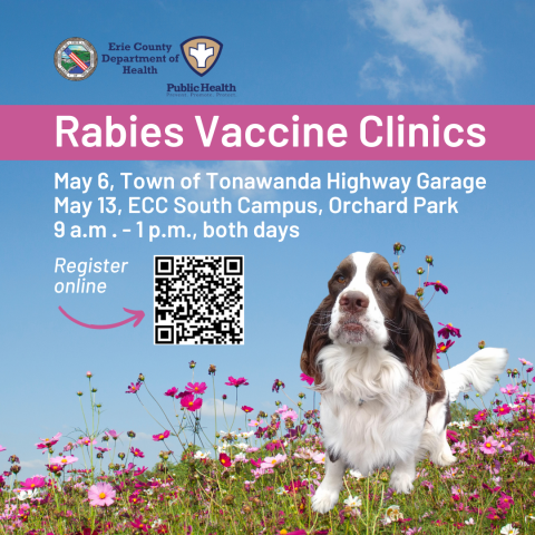 Erie County To Hold Two Free Rabies Vaccine Clinics In May Erie   May Rabies Vaccine Clinics 