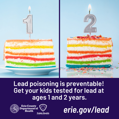 Two pieces of birthday cake with colorful layers, with candles with the number 1 and number 2 along with a message that says lead poisoning is preventable, get your kids tested for lead at ages 1 and 2 years.