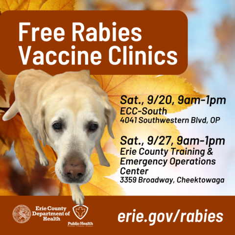 Golden retriever on a background of fall leaves with Free Rabies Vaccine Clinics information for 9/20/25 in Orchard Park and 9/27 in Cheektowaga. more at erie.gov/rabiesvaccine