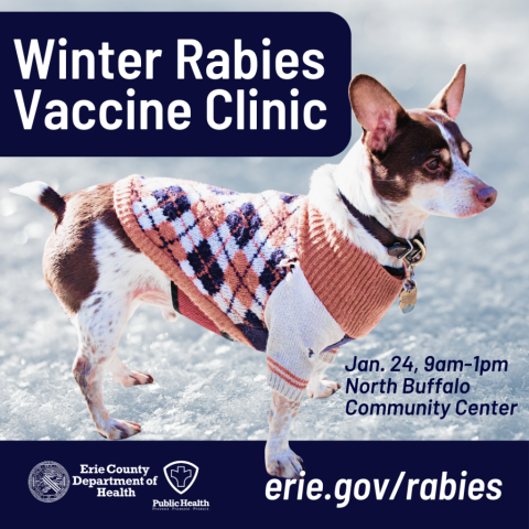 Small dog in an orange and blue sweater on a snowy background with text, Winter Rabies Vaccine Clinic, Jan 24, 9am-1pm, North Buffalo Community Center, erie.gov/rabies