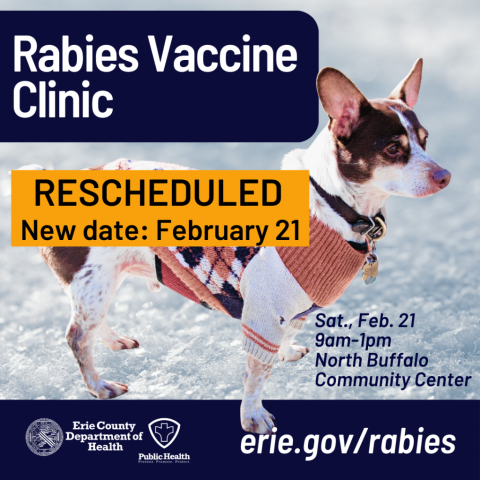 Small dog standing in snow wearing a colorful sweater; Erie County's rabies vaccine clinic rescheduled to February 21, 2026.